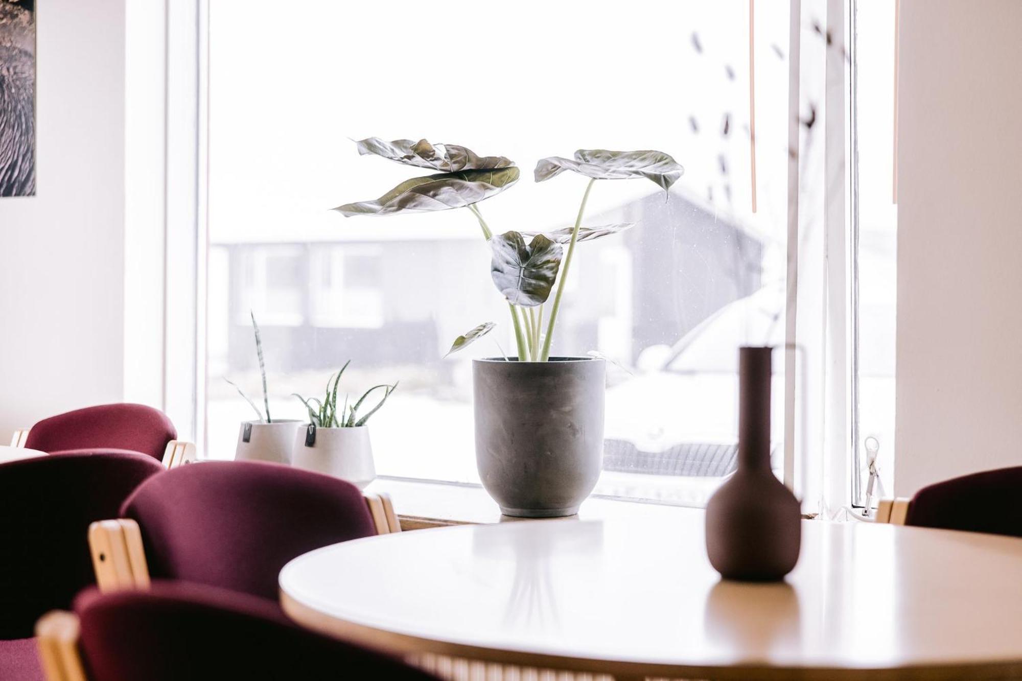 Elda Guesthouse Myvatn Bagian luar foto